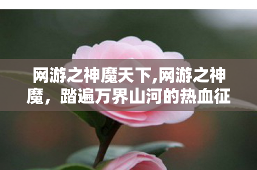 网游之神魔天下,网游之神魔,踏遍万界山河的热血征途 网游之神魔天下,网游之神魔,踏遍万界山河的热血征途