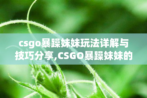 csgo暴躁妹妹玩法详解与技巧分享,CSGO暴躁妹妹的对局日常,把硬核枪战玩成充满烟火气的欢乐场 csgo暴躁妹妹玩法详解与技巧分享,CSGO暴躁妹妹的对局日常,把硬核枪战玩成充满烟火气的欢乐场