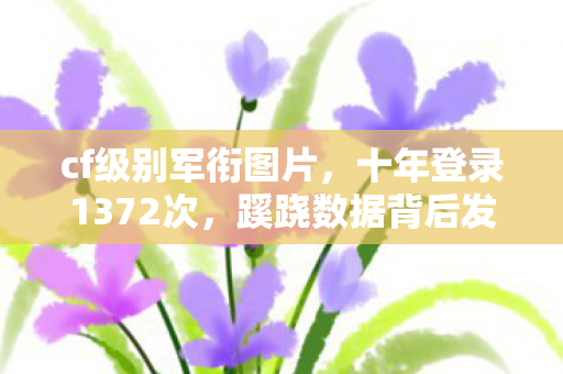 cf级别军衔图片,十年登录1372次,蹊跷数据背后发凉,我究竟在逃什么? cf级别军衔图片,十年登录1372次,蹊跷数据背后发凉,我究竟在逃什么?