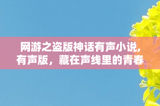 网游之盗版神话有声小说,有声版,藏在声线里的青春网游回忆 网游之盗版神话有声小说,有声版,藏在声线里的青春网游回忆