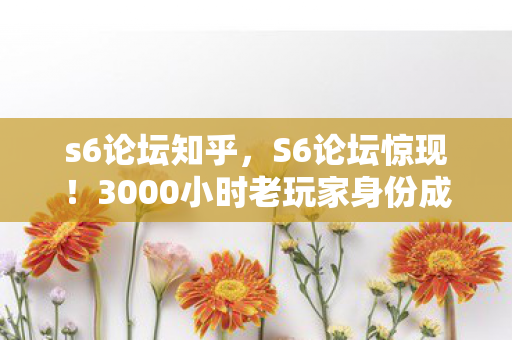 s6论坛知乎,S6论坛惊现!3000小时老玩家身份成谜,背后竟藏着这般心酸 s6论坛知乎,S6论坛惊现!3000小时老玩家身份成谜,背后竟藏着这般心酸
