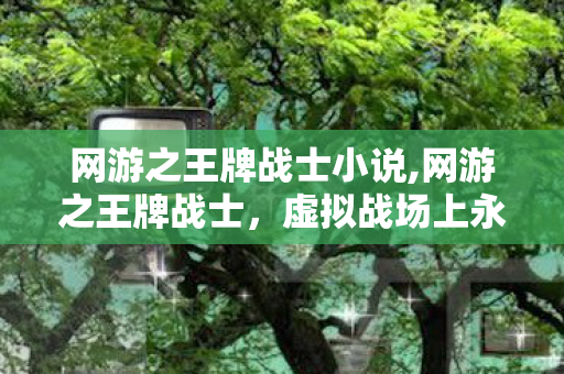 网游之王牌战士小说,网游之王牌战士,虚拟战场上永不落幕的热血勋章 网游之王牌战士小说,网游之王牌战士,虚拟战场上永不落幕的热血勋章
