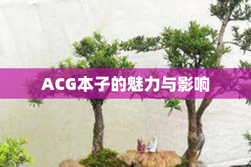 ACG本子的魅力与影响图片