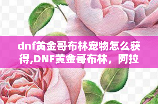 dnf黄金哥布林宠物怎么获得,DNF黄金哥布林,阿拉德大陆最让人难忘的金色惊喜 dnf黄金哥布林宠物怎么获得,DNF黄金哥布林,阿拉德大陆最让人难忘的金色惊喜