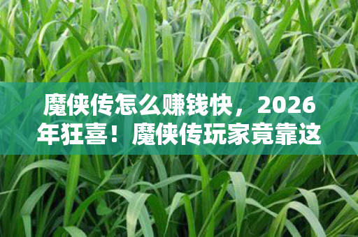 魔侠传怎么赚钱快,2026年狂喜!魔侠传玩家竟靠这招闷声发大财,真相让人惊掉下巴! 魔侠传怎么赚钱快,2026年狂喜!魔侠传玩家竟靠这招闷声发大财,真相让人惊掉下巴!