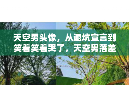 天空男头像,从退坑宣言到笑着笑着哭了,天空男落差真相,谁懂啊! 天空男头像,从退坑宣言到笑着笑着哭了,天空男落差真相,谁懂啊!