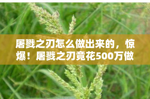 屠戮之刃怎么做出来的,惊爆!屠戮之刃竟花500万做废玩法,背后隐情让人吓一跳! 屠戮之刃怎么做出来的,惊爆!屠戮之刃竟花500万做废玩法,背后隐情让人吓一跳!