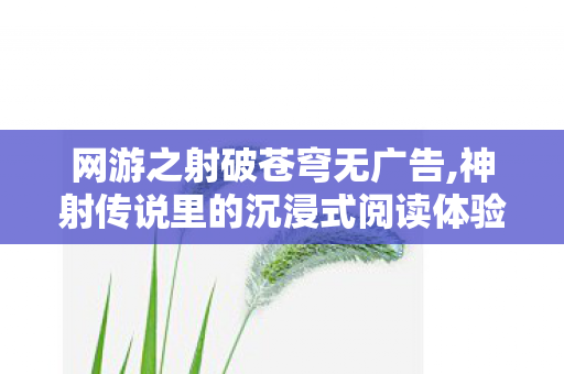 网游之射破苍穹无广告,神射传说里的沉浸式阅读体验 网游之射破苍穹无广告,神射传说里的沉浸式阅读体验
