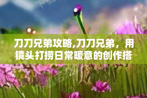 刀刀兄弟攻略,刀刀兄弟,用镜头打捞日常暖意的创作搭档创作的百花丛中,总有一些创作者不靠花哨的噱头吸睛,仅凭接地气的真诚感就走进了无数观众的心里,刀刀兄弟就是这样一对让人印象深刻的搭档 刀刀兄弟攻略,刀刀兄弟,用镜头打捞日常暖意的创作搭档创作的百花丛中,总有一些创作者不靠花哨的噱头吸睛,仅凭接地气的真诚感就走进了无数观众的心里,刀刀兄弟就是这样一对让人印象深刻的搭档