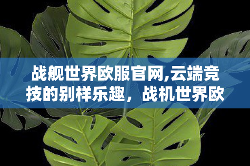 战舰世界欧服官网,云端竞技的别样乐趣,战机世界欧服游玩体验札记 战舰世界欧服官网,云端竞技的别样乐趣,战机世界欧服游玩体验札记