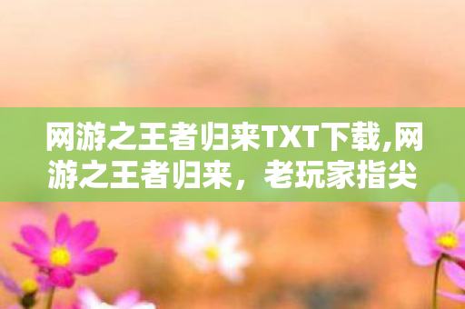 网游之王者归来TXT下载,网游之王者归来,老玩家指尖重启的青春序章 网游之王者归来TXT下载,网游之王者归来,老玩家指尖重启的青春序章