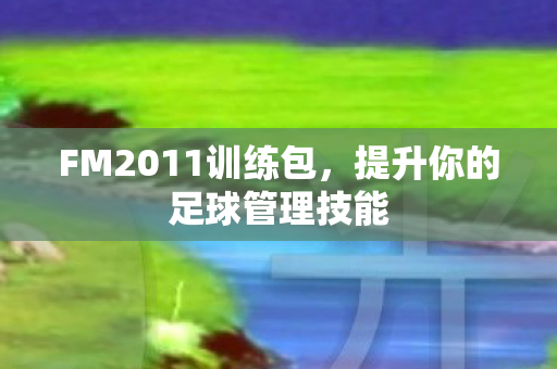 提升你的足球管理技能图片