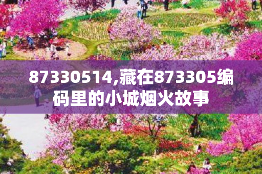 87330514,藏在873305编码里的小城烟火故事