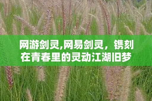 网游剑灵,网易剑灵，镌刻在青春里的灵动江湖旧梦