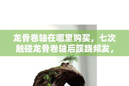 龙骨卷轴在哪里购买，七次触碰龙骨卷轴后蹊跷频发，真相揭晓后背发凉！