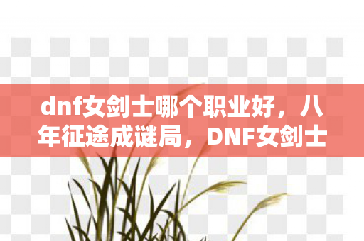 dnf女剑士哪个职业好，八年征途成谜局，DNF女剑士关服泪目终章