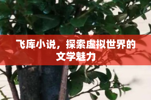 探索虚拟世界的文学魅力图片