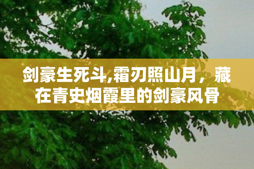 剑豪生死斗,霜刃照山月，藏在青史烟霞里的剑豪风骨
