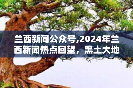 兰西新闻公众号,2024年兰西新闻热点回望，黑土大地上的民生暖意与发展新声
