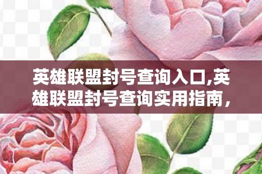 英雄联盟封号查询入口,英雄联盟封号查询实用指南，快速掌握账号状态，规避不必要的游戏风险