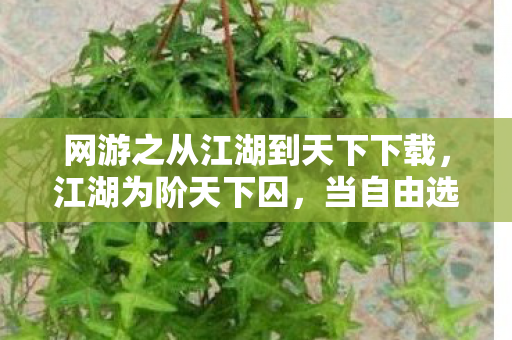 网游之从江湖到天下下载，江湖为阶天下囚，当自由选择成为命运枷锁的终极悖论