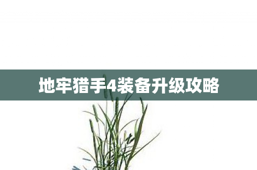 地牢猎手4装备升级攻略图片