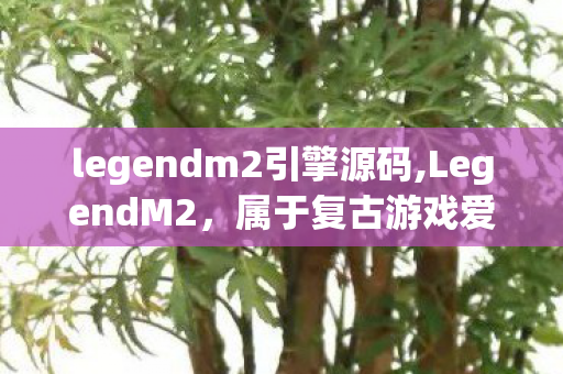 legendm2引擎源码,LegendM2,属于复古游戏爱好者的青春创作印记 legendm2引擎源码,LegendM2,属于复古游戏爱好者的青春创作印记