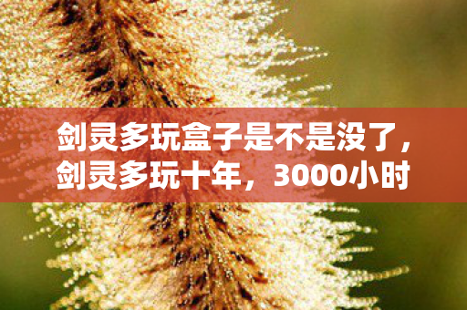 剑灵多玩盒子是不是没了，剑灵多玩十年，3000小时老玩家身份成谜，这心酸谁懂？