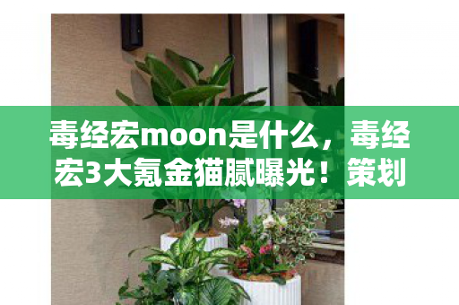 毒经宏moon是什么，毒经宏3大氪金猫腻曝光！策划这波操作让我上头到想摔键盘