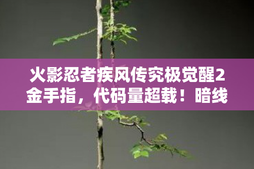 火影忍者疾风传究极觉醒2金手指，代码量超载！暗线织就的神经脉冲网，让玩家集体头皮发麻