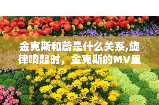 金克斯和蔚是什么关系,旋律响起时，金克斯的MV里藏着双城灵魂的注脚