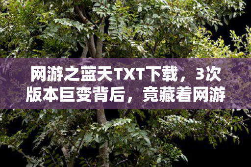 网游之蓝天TXT下载，3次版本巨变背后，竟藏着网游之蓝天颠覆百万玩家认知的真相？