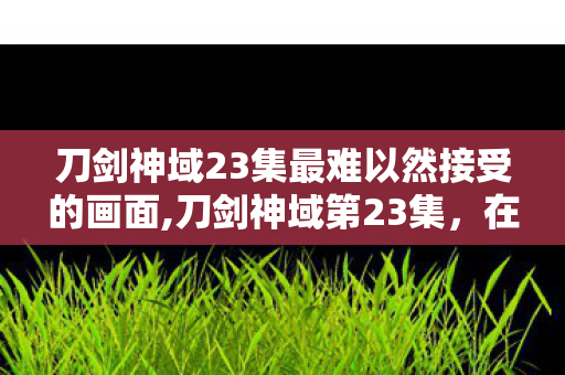 刀剑神域23集最难以然接受的画面,刀剑神域第23集，在虚拟世界里，接住最真实的心动