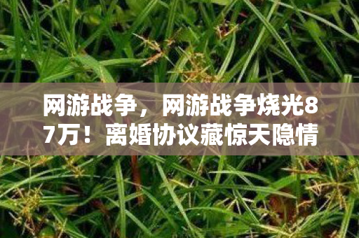 网游战争，网游战争烧光87万！离婚协议藏惊天隐情，妻子发现时吓到腿软