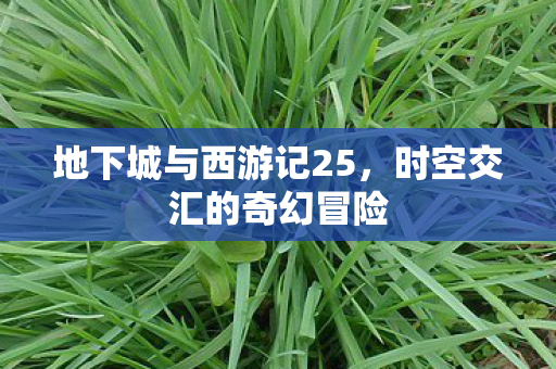 地下城与西游记25图片