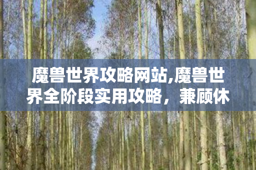 魔兽世界攻略网站,魔兽世界全阶段实用攻略，兼顾休闲与硬核的高效成长路径
