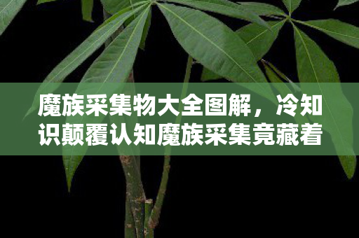 魔族采集物大全图解,冷知识颠覆认知魔族采集竟藏着十年目瞪口呆的惊天谎言! 魔族采集物大全图解,冷知识颠覆认知魔族采集竟藏着十年目瞪口呆的惊天谎言!