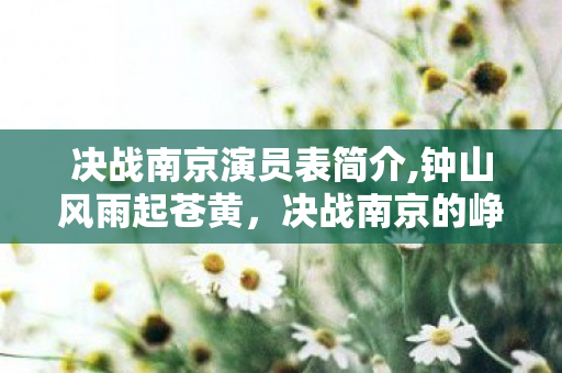 决战南京演员表简介,钟山风雨起苍黄，决战南京的峥嵘史诗