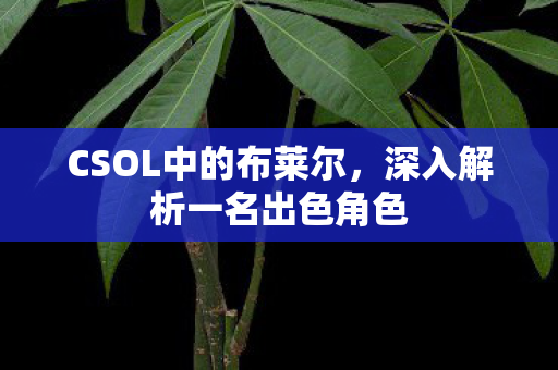 深入解析一名出色角色图片