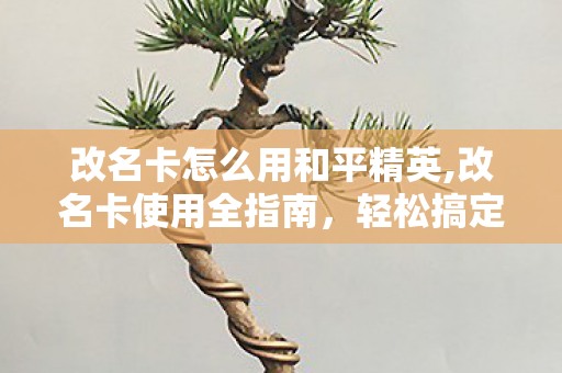 改名卡怎么用和平精英,改名卡使用全指南，轻松搞定昵称修改不踩坑