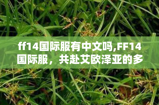 ff14国际服有中文吗,FF14国际服，共赴艾欧泽亚的多元冒险之旅