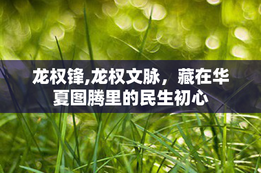 龙权锋,龙权文脉,藏在华夏图腾里的民生初心 龙权锋,龙权文脉,藏在华夏图腾里的民生初心