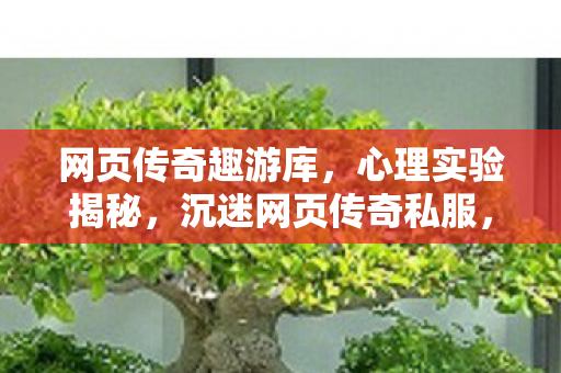 网页传奇趣游库,心理实验揭秘,沉迷网页传奇私服,细思极恐的自我囚禁 网页传奇趣游库,心理实验揭秘,沉迷网页传奇私服,细思极恐的自我囚禁