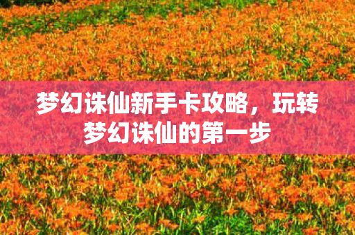 玩转梦幻诛仙的第一步图片