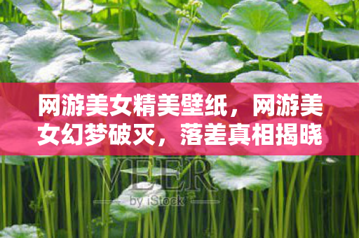 网游美女精美壁纸,网游美女幻梦破灭,落差真相揭晓,笑着笑着竟哭了 网游美女精美壁纸,网游美女幻梦破灭,落差真相揭晓,笑着笑着竟哭了