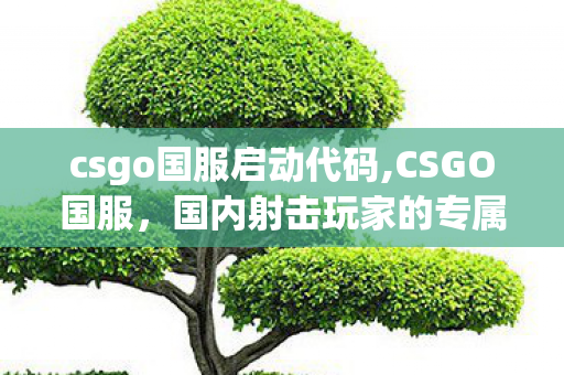 csgo国服启动代码,CSGO国服,国内射击玩家的专属热血竞技家园 csgo国服启动代码,CSGO国服,国内射击玩家的专属热血竞技家园