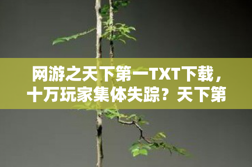 网游之天下第一TXT下载,十万玩家集体失踪?天下第一惊现数据黑洞引全服破防! 网游之天下第一TXT下载,十万玩家集体失踪?天下第一惊现数据黑洞引全服破防!