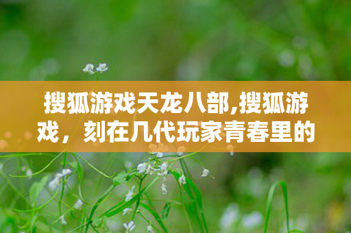 搜狐游戏天龙八部,搜狐游戏，刻在几代玩家青春里的江湖文娱坐标