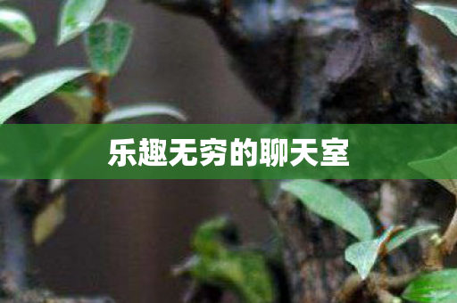 乐趣无穷的聊天室图片