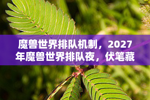 魔兽世界排队机制,2027年魔兽世界排队夜,伏笔藏了十年,鼻子一酸终是删号 魔兽世界排队机制,2027年魔兽世界排队夜,伏笔藏了十年,鼻子一酸终是删号